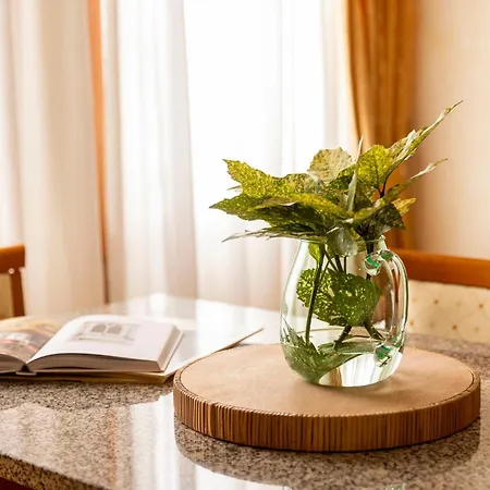 מלון & Venezia 2000